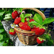 Charger l'image dans la galerie, Fraise de panier de point de croix - peinture complète de diamant - 30x40cm