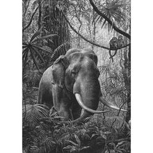 Charger l'image dans la galerie, Éléphant de forêt - peinture complète de diamant - 30x40cm