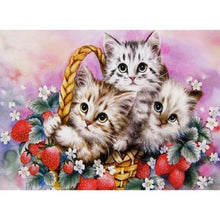 Charger l'image dans la galerie, Beaux petits chats - peinture en diamant complet - 30x40cm