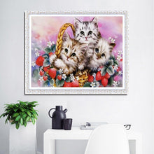 Charger l'image dans la galerie, Beaux petits chats - peinture en diamant complet - 30x40cm