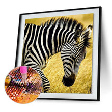 Charger l'image dans la galerie, Zèbre de marche - peinture complète de diamant - 30x30cm