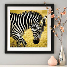 Charger l'image dans la galerie, Zèbre de marche - peinture complète de diamant - 30x30cm