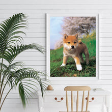 Charger l'image dans la galerie, Chien curieux - peinture en diamant complet - 40x30cm