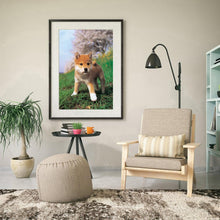 Charger l'image dans la galerie, Chien curieux - peinture en diamant complet - 40x30cm