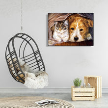 Charger l'image dans la galerie, Chien de chat ennuyeux - peinture complète de diamant - 40x30cm
