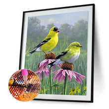 Charger l'image dans la galerie, Oiseaux à la recherche - peinture diamant - 40x30cm