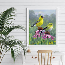 Charger l'image dans la galerie, Oiseaux à la recherche - peinture diamant - 40x30cm