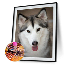 Charger l'image dans la galerie, Loup docile - peinture complète de diamant - 30x40cm