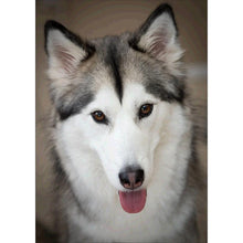 Charger l'image dans la galerie, Loup docile - peinture complète de diamant - 30x40cm