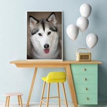 Charger l'image dans la galerie, Loup docile - peinture complète de diamant - 30x40cm