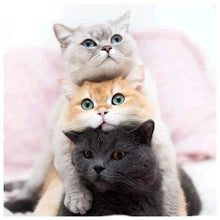 Charger l'image dans la galerie, Beau chat - peinture complète de diamant - 30x30cm