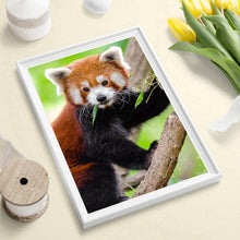 Charger l'image dans la galerie, Koala d’escalade - peinture complète de diamant - 30x40cm