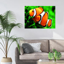 Charger l'image dans la galerie, Poissons de natation - peinture complète de diamant - 30x40cm