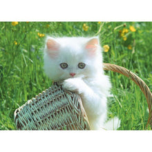 Charger l'image dans la galerie, Panier de chat - diamant rond complet - 40x30cm