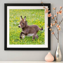 Charger l'image dans la galerie, Âne - diamant rond complet - 30x30cm