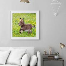 Charger l'image dans la galerie, Âne - diamant rond complet - 30x30cm