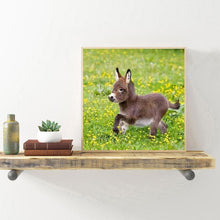 Charger l'image dans la galerie, Âne - diamant rond complet - 30x30cm