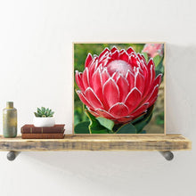 Charger l'image dans la galerie, Fleur - diamant rond complet - 30x30cm