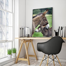 Charger l'image dans la galerie, Âne - diamant rond complet - 30x40cm