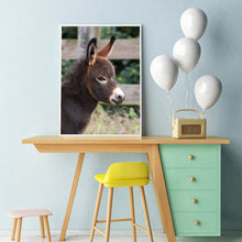 Charger l'image dans la galerie, Âne - diamant rond complet - 30x40cm