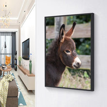 Charger l'image dans la galerie, Âne - diamant rond complet - 30x40cm