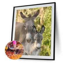 Charger l'image dans la galerie, Âne - diamant rond complet - 30x40cm