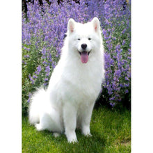 Charger l'image dans la galerie, Chien blanc - diamant rond complet - 30x40cm