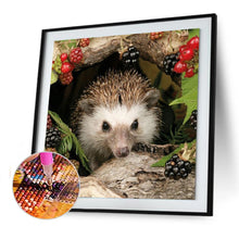 Charger l'image dans la galerie, Hérisson animal - diamant rond complet - 30x30cm