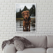 Charger l'image dans la galerie, Chien - diamant rond complet - 30x40cm