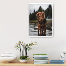 Charger l'image dans la galerie, Chien - diamant rond complet - 30x40cm