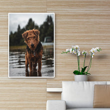 Charger l'image dans la galerie, Chien - diamant rond complet - 30x40cm