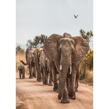 Charger l'image dans la galerie, Éléphant sur route - diamant rond complet - 30x40cm