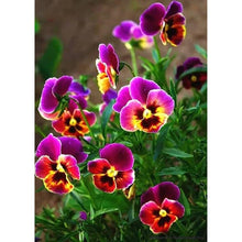 Charger l'image dans la galerie, Fleurs de fleur - diamant rond complet - 30x40cm