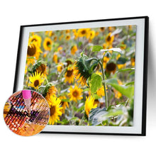 Charger l'image dans la galerie, Plantes - diamant rond complet - 40x30cm