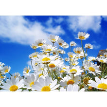 Charger l'image dans la galerie, Plantes - diamant rond complet - 40x30cm