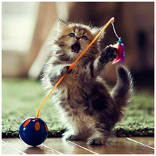 Charger l'image dans la galerie, Chaton - diamant rond complet - 30x30cm