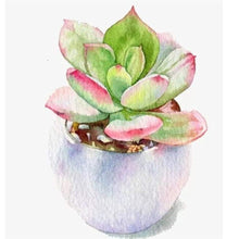 Charger l'image dans la galerie, Plante succulente - diamant rond complet - 30x30cm