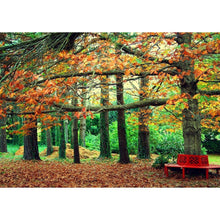 Charger l'image dans la galerie, Rural - diamant rond complet - 40x30cm