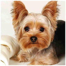 Charger l'image dans la galerie, Animal de chien - diamant rond complet - 30x30cm