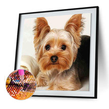 Charger l'image dans la galerie, Animal de chien - diamant rond complet - 30x30cm