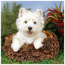 Charger l'image dans la galerie, Chien - diamant rond complet - 30x30cm
