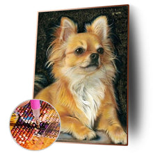 Charger l'image dans la galerie, Perle de chien - diamant rond complet - 30x40cm