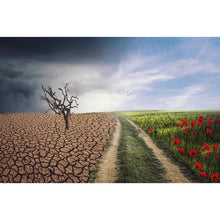 Charger l'image dans la galerie, Champ sec - diamant rond complet - 40x30cm