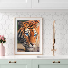 Charger l'image dans la galerie, Tigre - diamant rond complet - 30x40cm