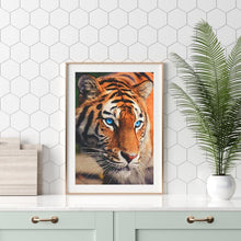 Charger l'image dans la galerie, Tigre - diamant rond complet - 30x40cm