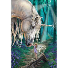 Charger l'image dans la galerie, Cheval et elfe - diamant rond complet - 30x40cm