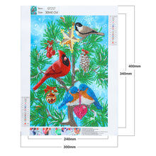 Charger l'image dans la galerie, Cardinal-spécial en forme de cristal diamant peinture-30*40cm