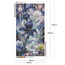 Charger l'image dans la galerie, Schwarze Rose-Vollbohrer-Diamantmalerei-40x70cm