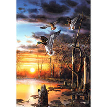 Charger l'image dans la galerie, Canard sauvage - diamant rond complet - 40x30cm