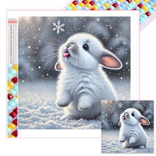 Charger l&#39;image dans la galerie, Animal-Full Square Diamond Painting-40x40cm
